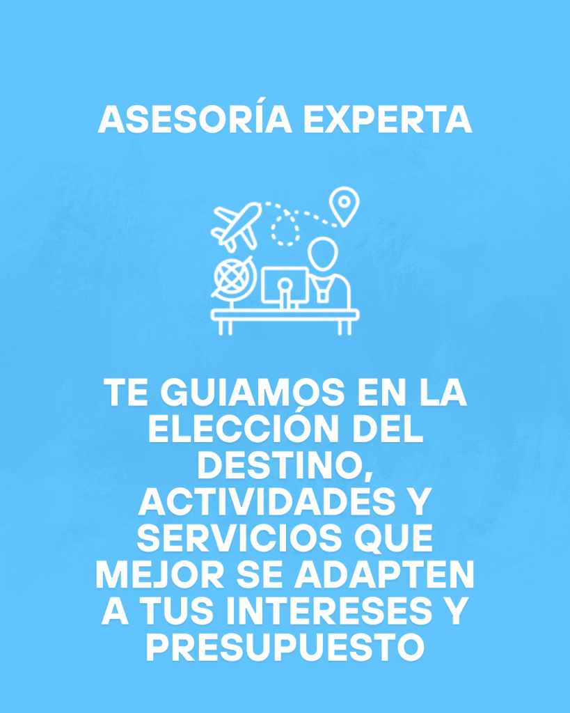 Asesoria experta